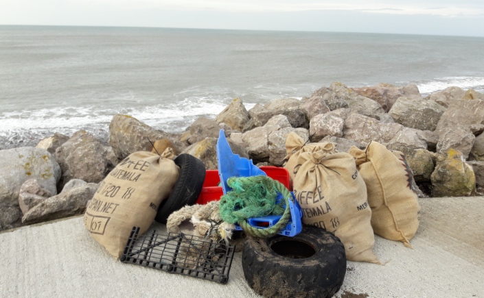 Beach litter collected from Whitehaven North Shore